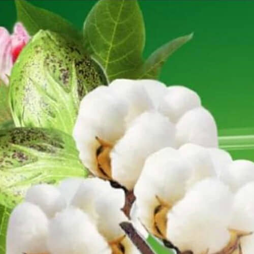 河南英沃夫生物科技有限公司